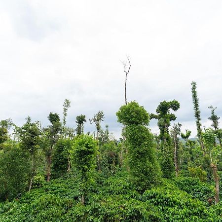 Saffronstays Cafella- A 3-Bdr Elliptical-Roof Villa In Chikmagalur Mudigere エクステリア 写真