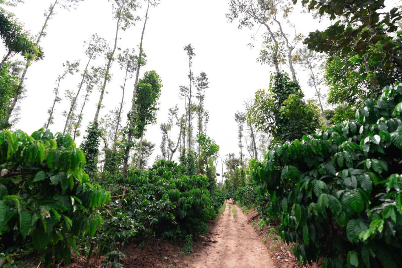 Saffronstays Cafella- A 3-Bdr Elliptical-Roof Villa In Chikmagalur Mudigere エクステリア 写真